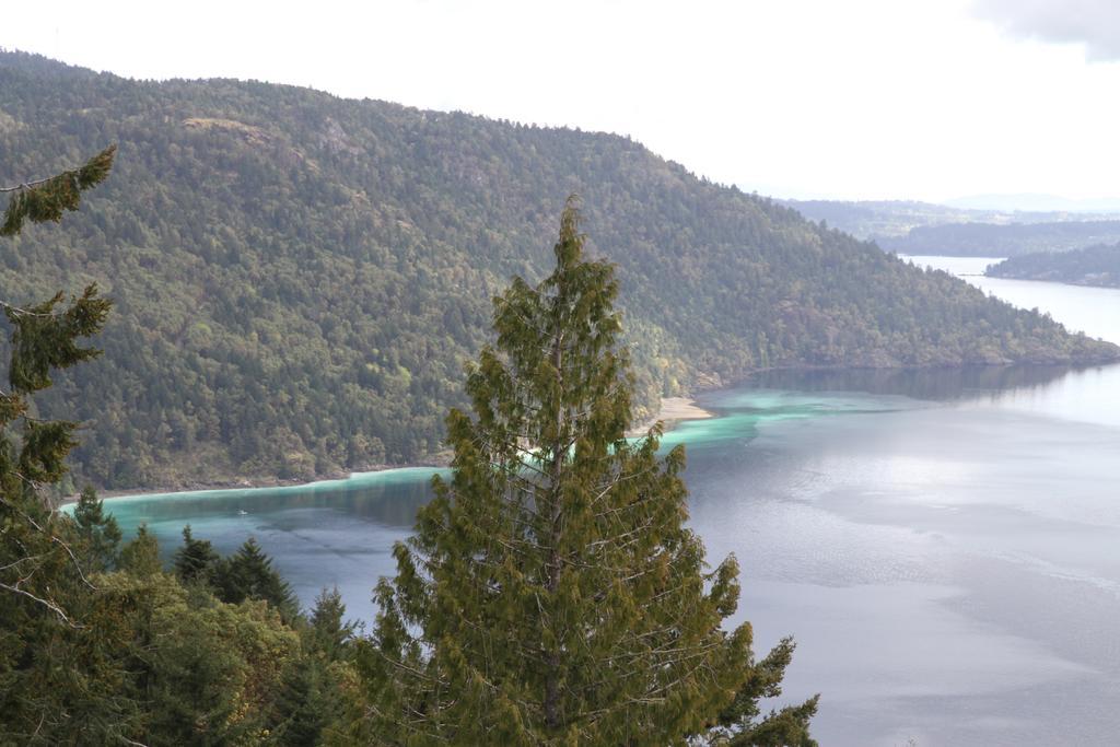 Moon Water Lodge Malahat Ruang foto