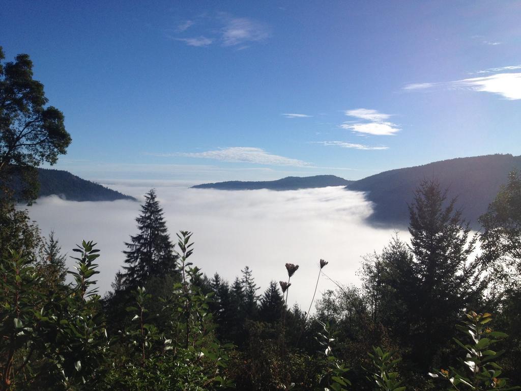 Moon Water Lodge Malahat Ruang foto
